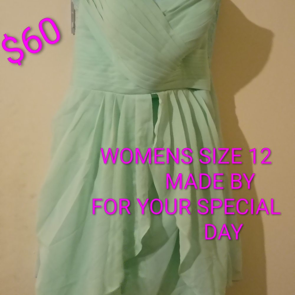 Elegant Mint Green Wedding Dress Made By For Your Special Day Size 12 Tlll